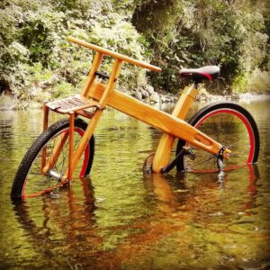 BICI TREK
